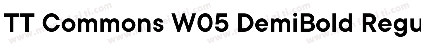 TT Commons W05 DemiBold Regular下载字体转换